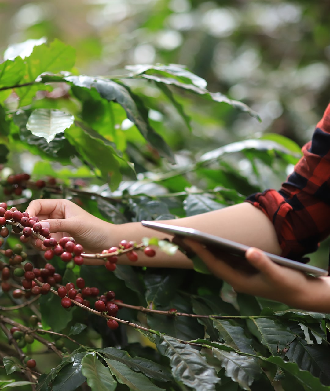 Centro Rituais Educa
