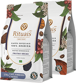 Rituais - Érica Urban