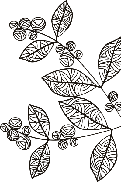 Centro Rituais de Cafés Especiais